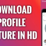 How to Download High-Quality Instagram Profile Pictures With InstaDP?