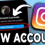 How to View Private Instagram Profile Pictures Using InstaDP